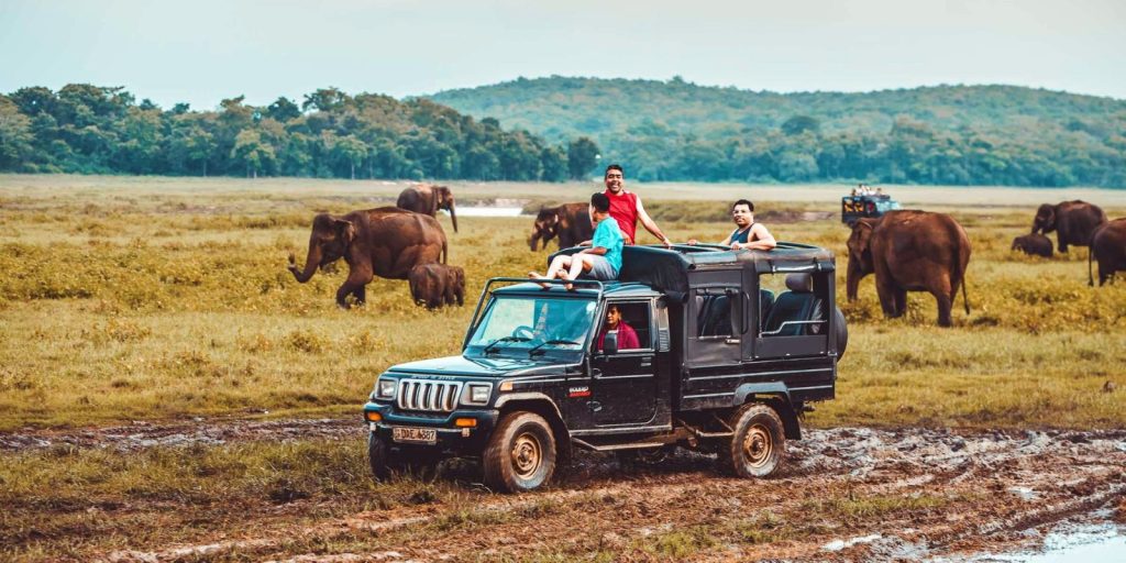 Wildlife & Adventure Tour